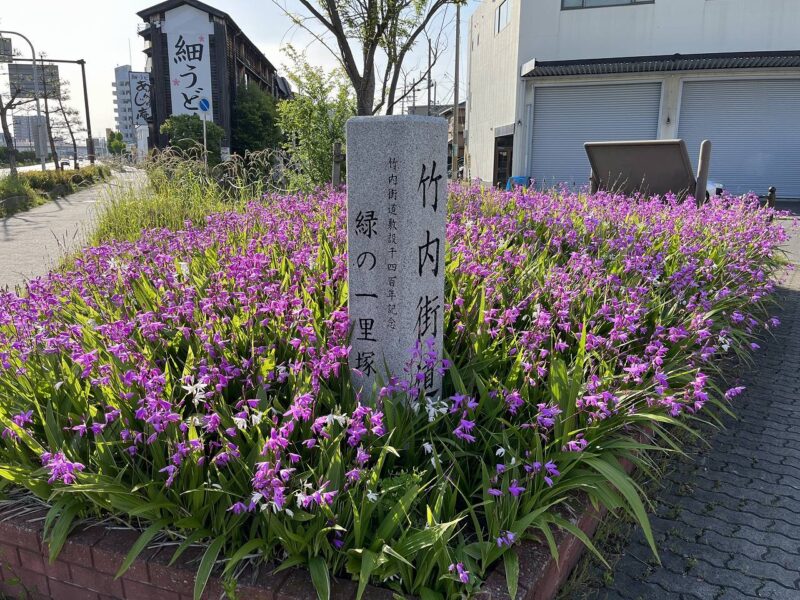 緑の一里塚の写真