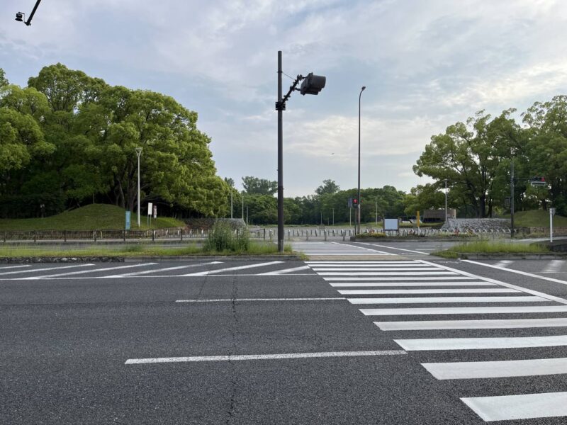 大泉緑地の写真