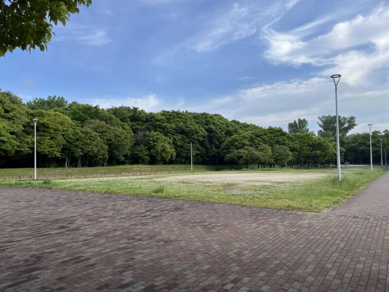 大泉緑地の写真