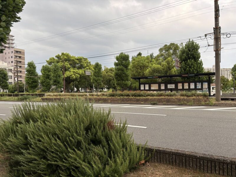 ザビエル公園の写真